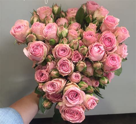 Oc wholesale flowers - Wholesale Flower Place Valentines Day Specials. Valentine's Day Specials. O RDER IN ADVANCE! (714) 434-1072. Deliveries Available on Pre-Orders Only. Order in advance for guaranteed prices and express pickup. ♥️ HUGS AND KISSES BOUQUET $75.50. LARGE MIX OF FLOWERS WITH 3 ROSES IN A VASE ...